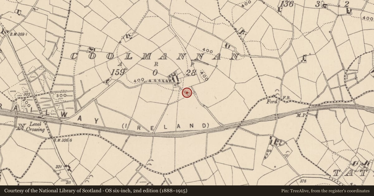 Ordnance Survey six-inch map, 2nd edition (1888–1915) covering the location of Ringfort - rath, Coolmannan, County Monaghan, with a pin at the register's coordinates