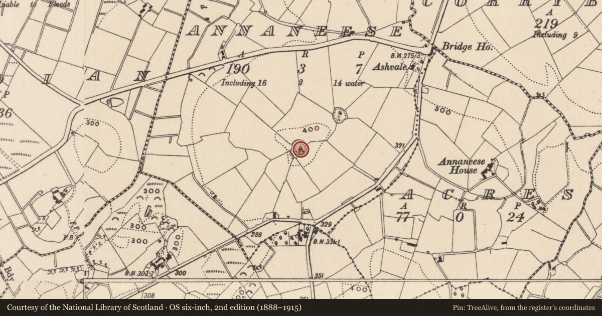 Ordnance Survey six-inch map, 2nd edition (1888–1915) covering the location of Ringfort - rath, Annaneese, County Monaghan, with a pin at the register's coordinates