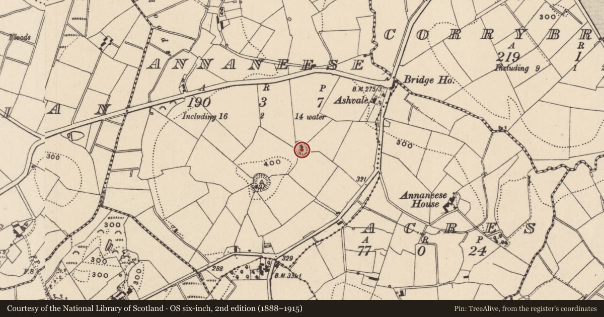 Ordnance Survey six-inch map, 2nd edition (1888–1915) covering the location of Ringfort - rath, Annaneese, County Monaghan, with a pin at the register's coordinates