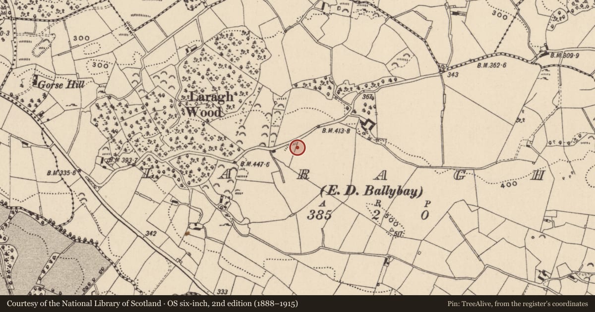 Ordnance Survey six-inch map, 2nd edition (1888–1915) covering the location of Ringfort - rath, Laragh (Cremorne By., Ballybay Par.), County Monaghan, with a pin at the register's coordinates