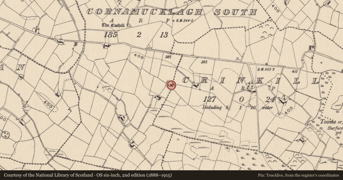 Ordnance Survey six-inch map, 2nd edition (1888–1915) covering the location of Ringfort - rath, Cornamucklagh South, County Monaghan, with a pin at the register's coordinates