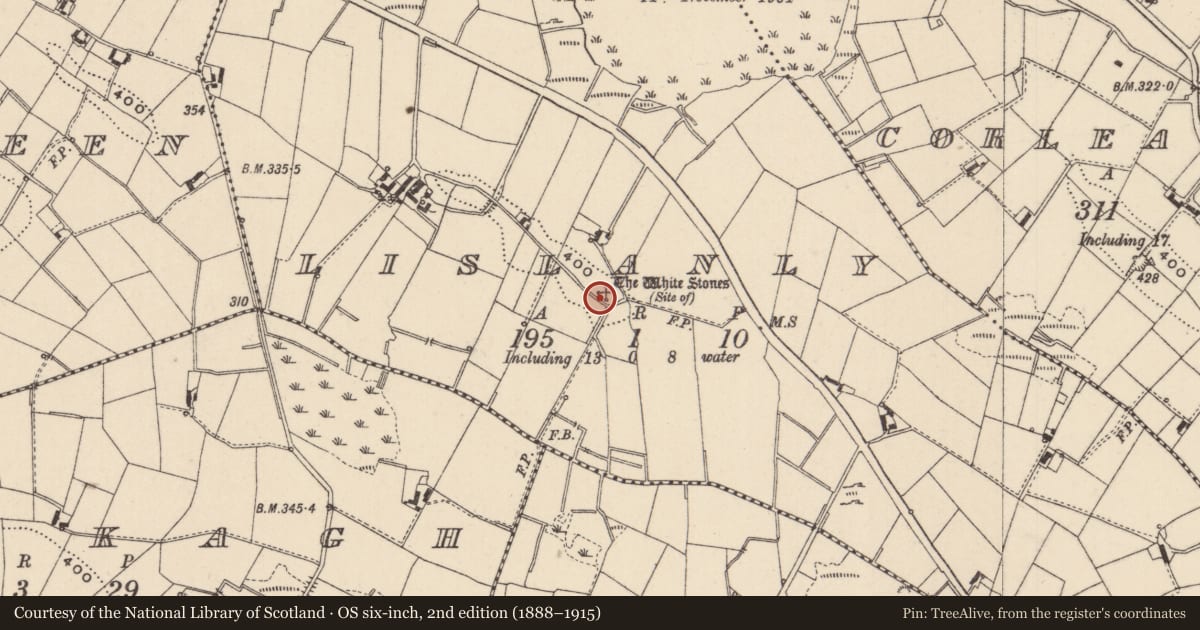 Ordnance Survey six-inch map, 2nd edition (1888–1915) covering the location of Megalithic tomb - unclassified, Lislanly, County Monaghan, with a pin at the register's coordinates