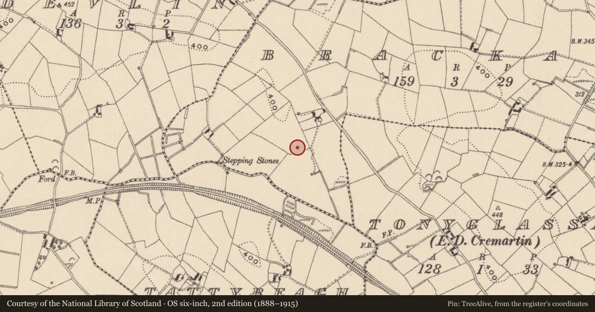 Ordnance Survey six-inch map, 2nd edition (1888–1915) covering the location of Ringfort - rath, Brackagh, County Monaghan, with a pin at the register's coordinates