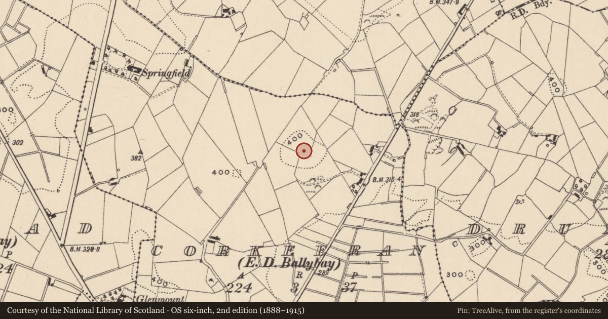 Ordnance Survey six-inch map, 2nd edition (1888–1915) covering the location of Ringfort - rath, Corkeeran (Cremorne By., Ballybay Par.), County Monaghan, with a pin at the register's coordinates