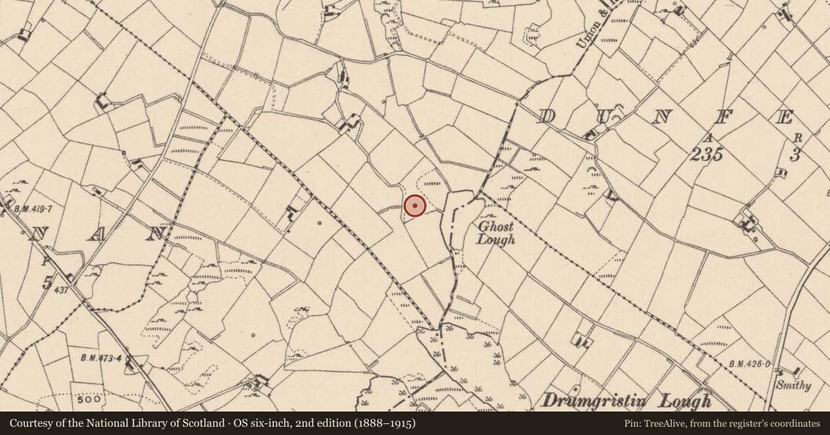 Ordnance Survey six-inch map, 2nd edition (1888–1915) covering the location of Anomalous stone group, Derryhallagh, County Monaghan, with a pin at the register's coordinates