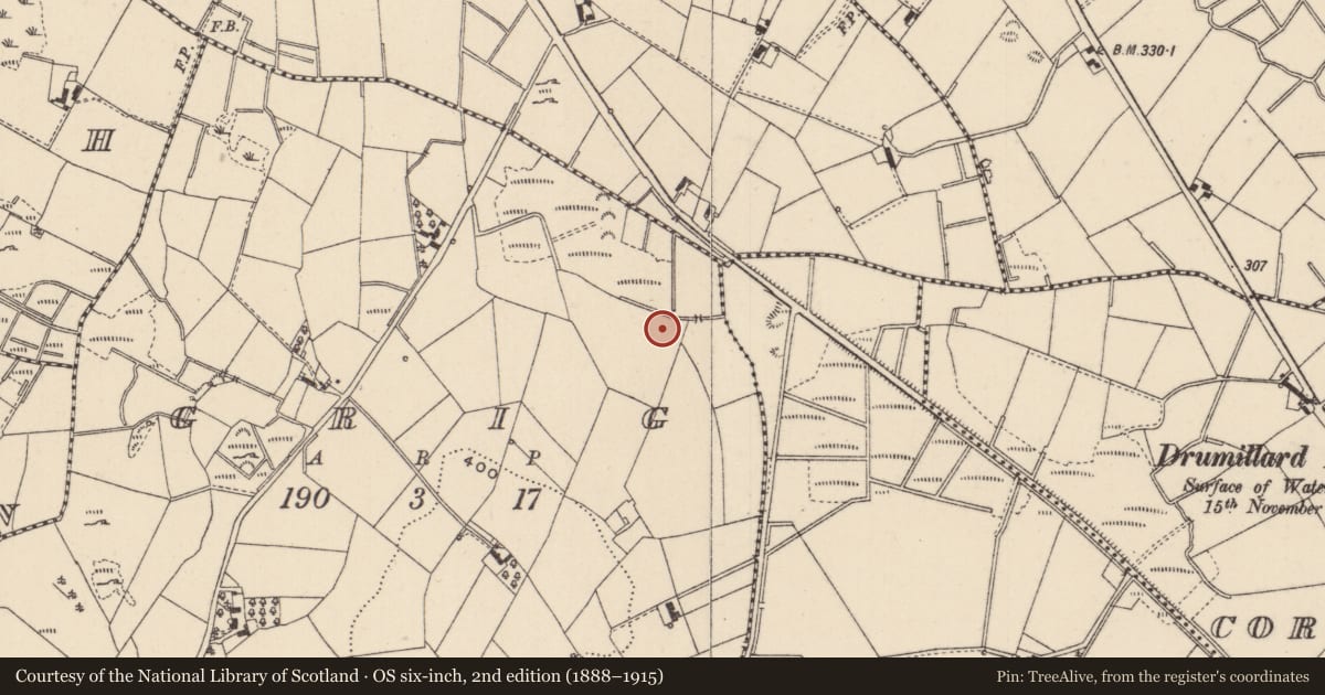 Ordnance Survey six-inch map, 2nd edition (1888–1915) covering the location of Fulacht fia, Grig, County Monaghan, with a pin at the register's coordinates