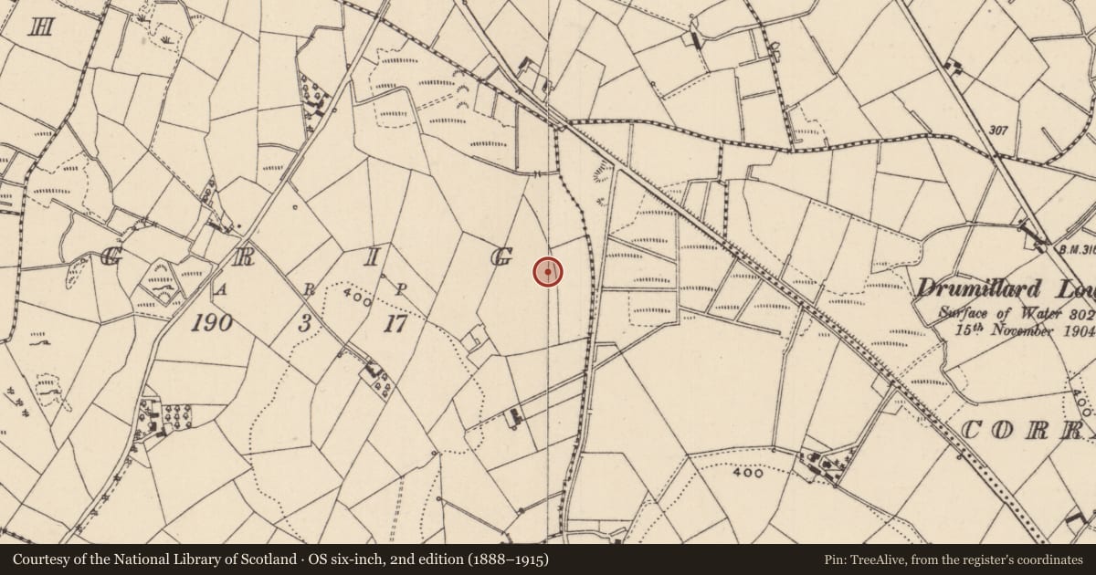 Ordnance Survey six-inch map, 2nd edition (1888–1915) covering the location of Fulacht fia, Grig, County Monaghan, with a pin at the register's coordinates