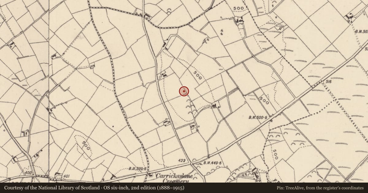 Ordnance Survey six-inch map, 2nd edition (1888–1915) covering the location of Ringfort - rath, Carrickaslane, County Monaghan, with a pin at the register's coordinates