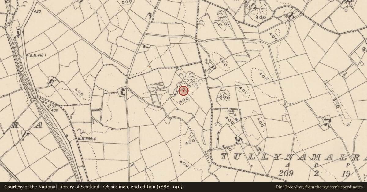 Ordnance Survey six-inch map, 2nd edition (1888–1915) covering the location of Ringfort - rath, Erryroe, County Monaghan, with a pin at the register's coordinates
