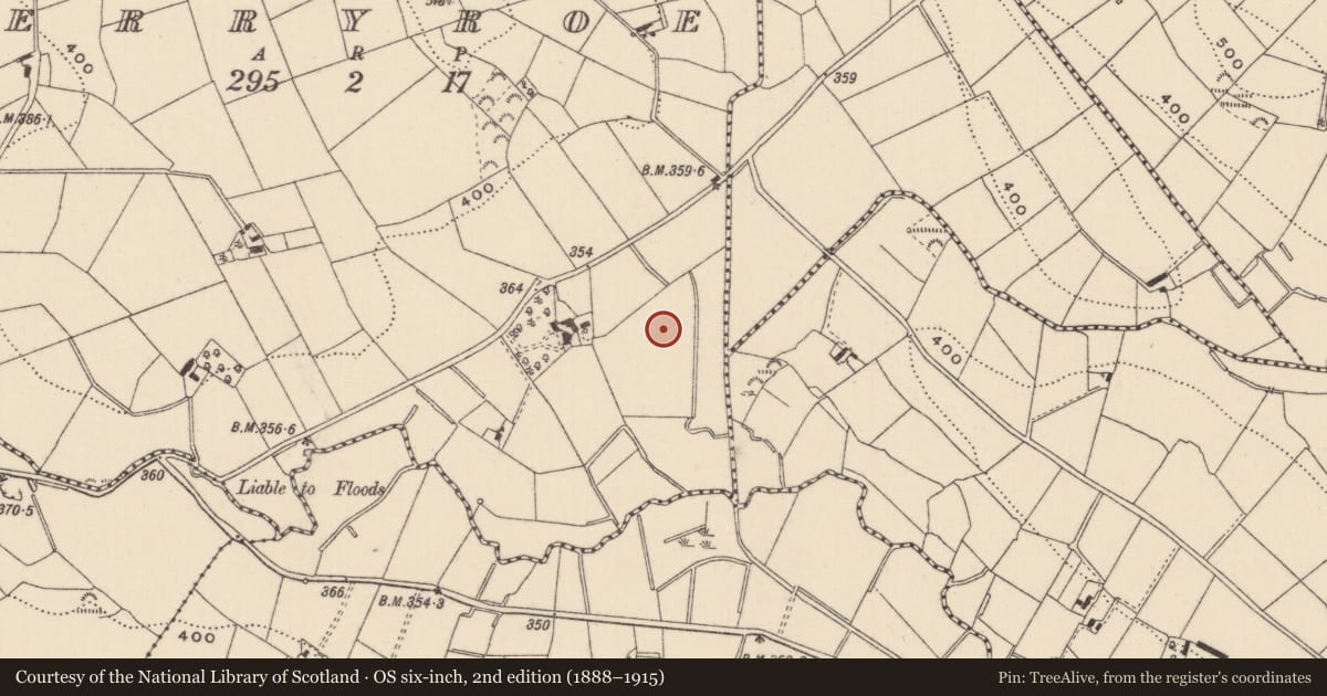 Ordnance Survey six-inch map, 2nd edition (1888–1915) covering the location of Ringfort - rath, Erryroe, County Monaghan, with a pin at the register's coordinates