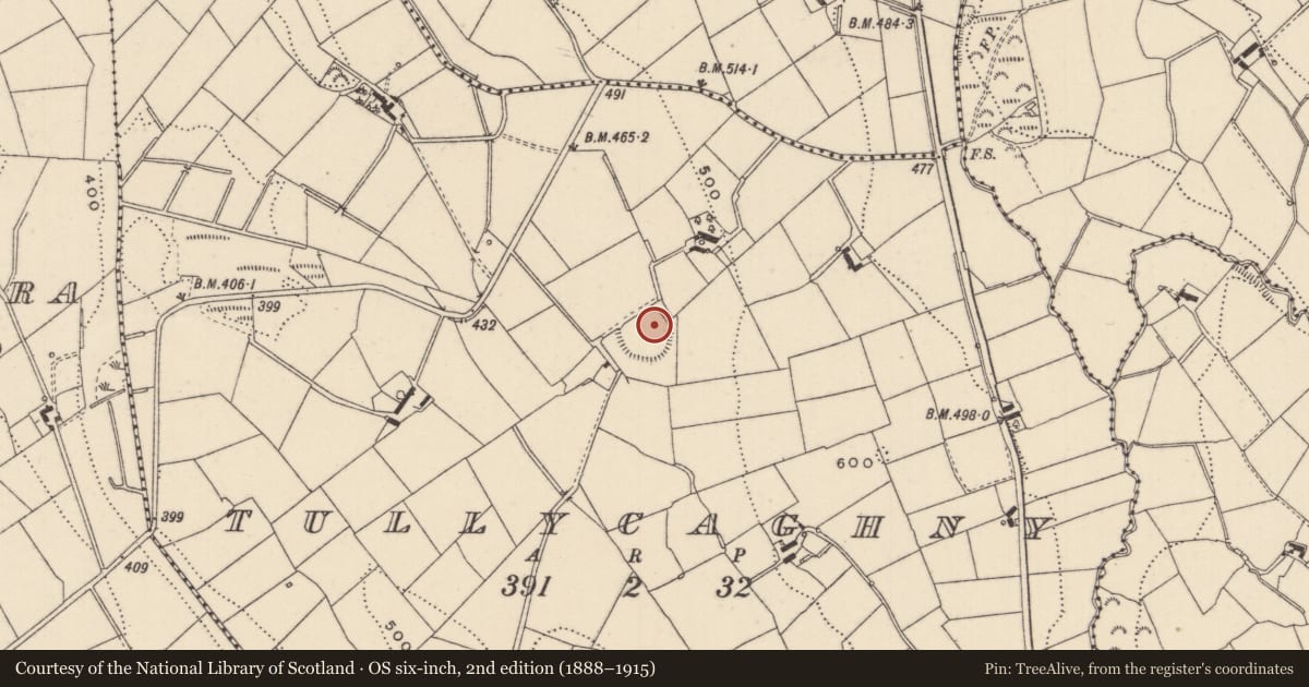 Ordnance Survey six-inch map, 2nd edition (1888–1915) covering the location of Ringfort - rath, Tullycaghny, County Monaghan, with a pin at the register's coordinates