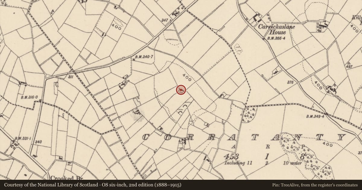 Ordnance Survey six-inch map, 2nd edition (1888–1915) covering the location of Ringfort - rath, Corratanty, County Monaghan, with a pin at the register's coordinates