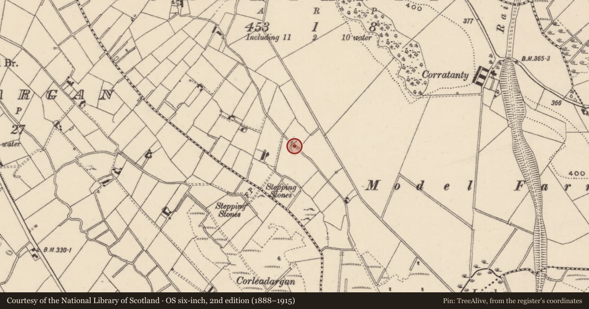 Ordnance Survey six-inch map, 2nd edition (1888–1915) covering the location of Ringfort - rath, Corratanty, County Monaghan, with a pin at the register's coordinates