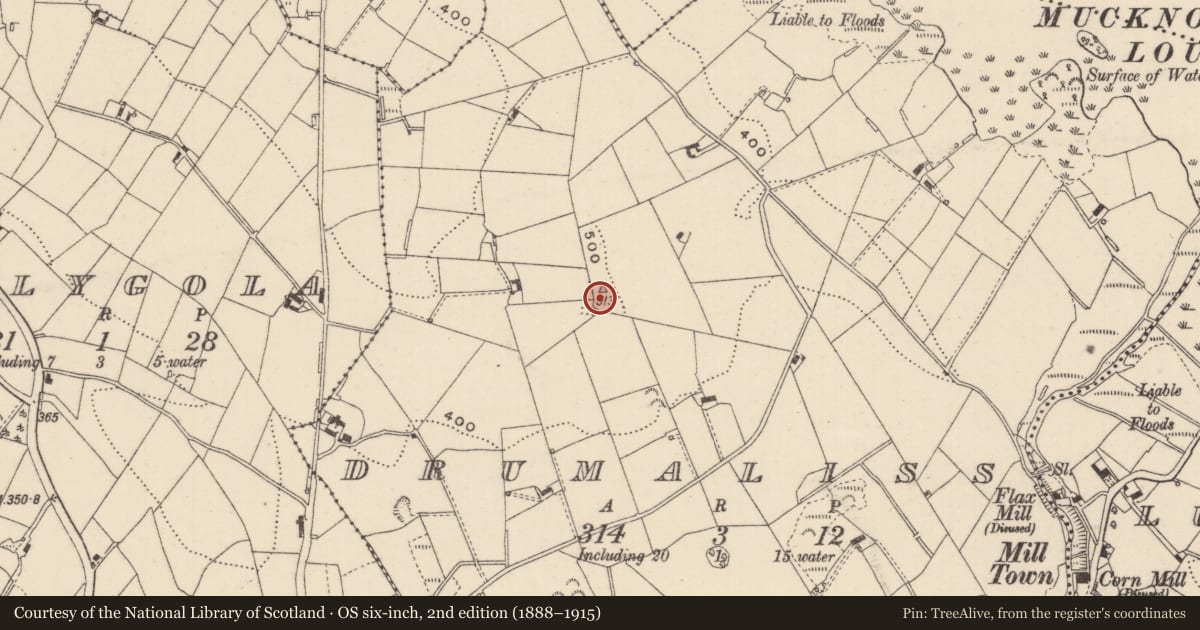Ordnance Survey six-inch map, 2nd edition (1888–1915) covering the location of Ringfort - rath, Drumaliss, County Monaghan, with a pin at the register's coordinates