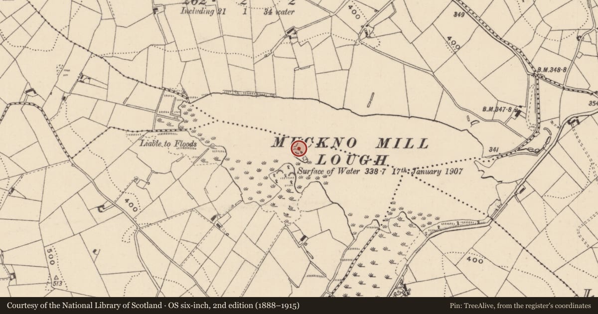 Ordnance Survey six-inch map, 2nd edition (1888–1915) covering the location of Crannog, Drumaliss, County Monaghan, with a pin at the register's coordinates