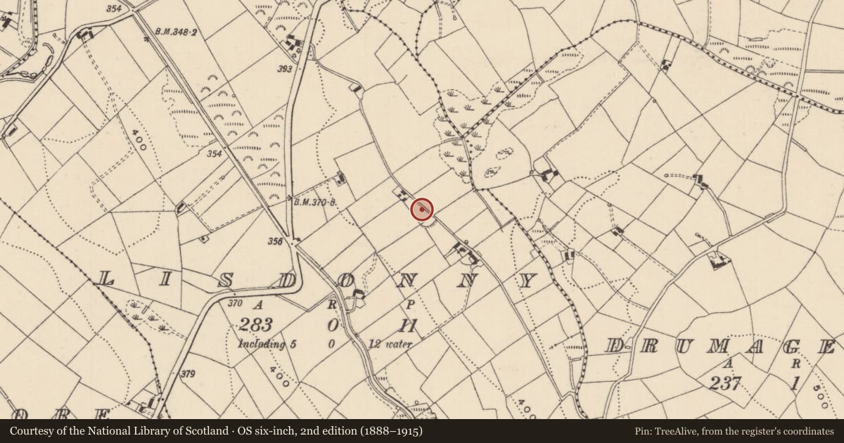 Ordnance Survey six-inch map, 2nd edition (1888–1915) covering the location of Ringfort - rath, Lisdonny, County Monaghan, with a pin at the register's coordinates
