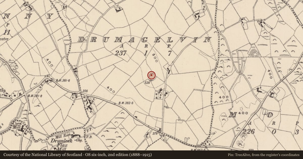 Ordnance Survey six-inch map, 2nd edition (1888–1915) covering the location of Ringfort - rath, Drumagelvin, County Monaghan, with a pin at the register's coordinates