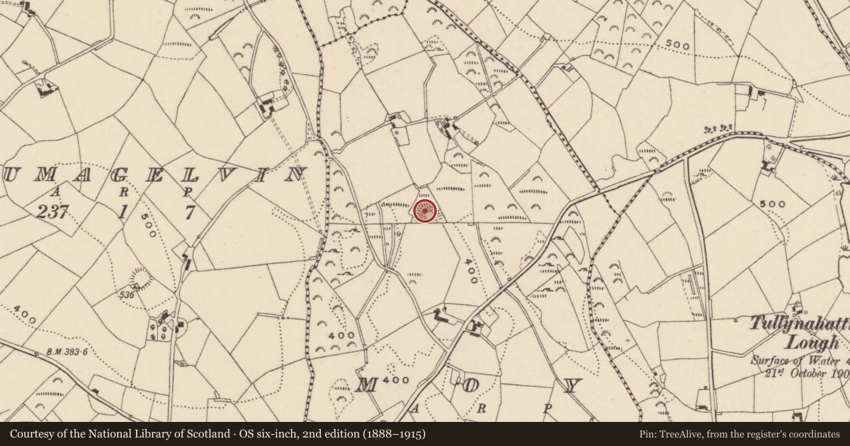 Ordnance Survey six-inch map, 2nd edition (1888–1915) covering the location of Ringfort - rath, Moy, County Monaghan, with a pin at the register's coordinates