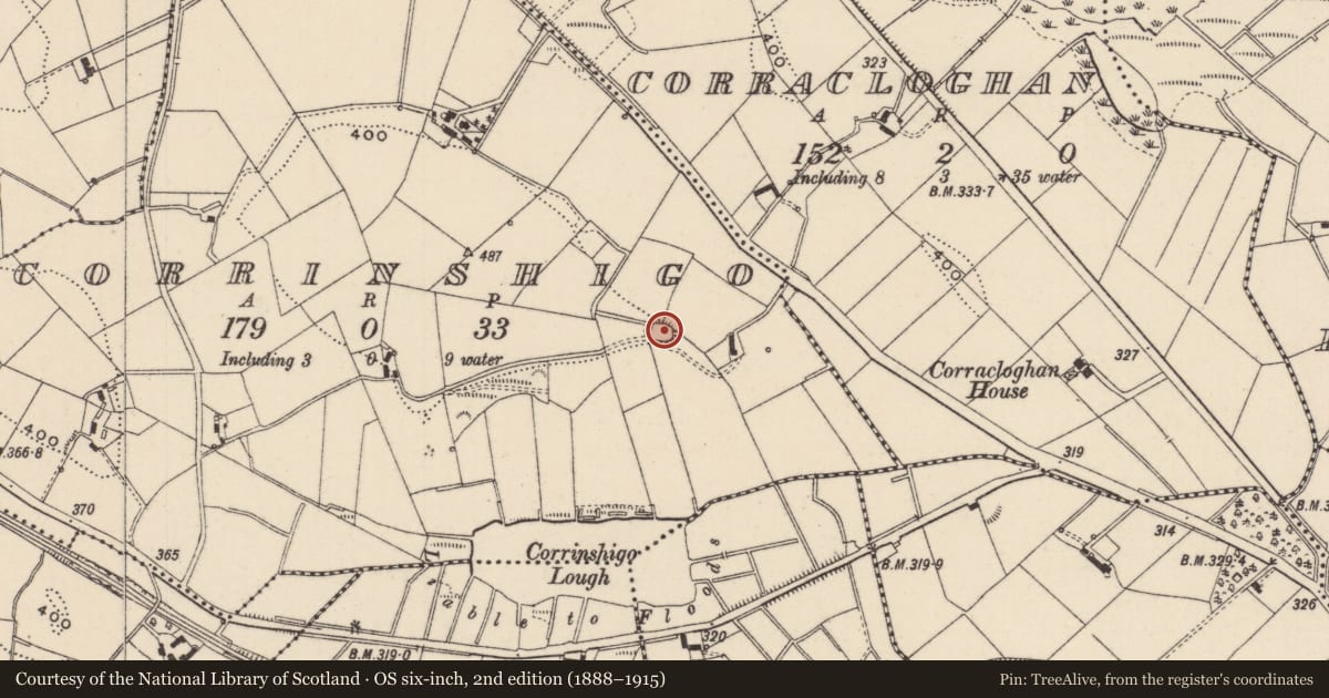 Ordnance Survey six-inch map, 2nd edition (1888–1915) covering the location of Ringfort - rath, Corrinshigo, County Monaghan, with a pin at the register's coordinates