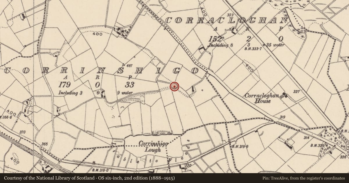Ordnance Survey six-inch map, 2nd edition (1888–1915) covering the location of Souterrain, Corrinshigo, County Monaghan, with a pin at the register's coordinates