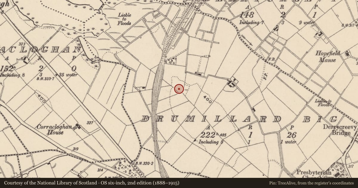 Ordnance Survey six-inch map, 2nd edition (1888–1915) covering the location of Ringfort - rath, Drumillard Big, County Monaghan, with a pin at the register's coordinates