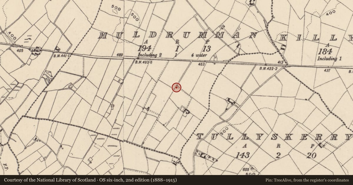 Ordnance Survey six-inch map, 2nd edition (1888–1915) covering the location of Ringfort - rath, Muldrumman, County Monaghan, with a pin at the register's coordinates