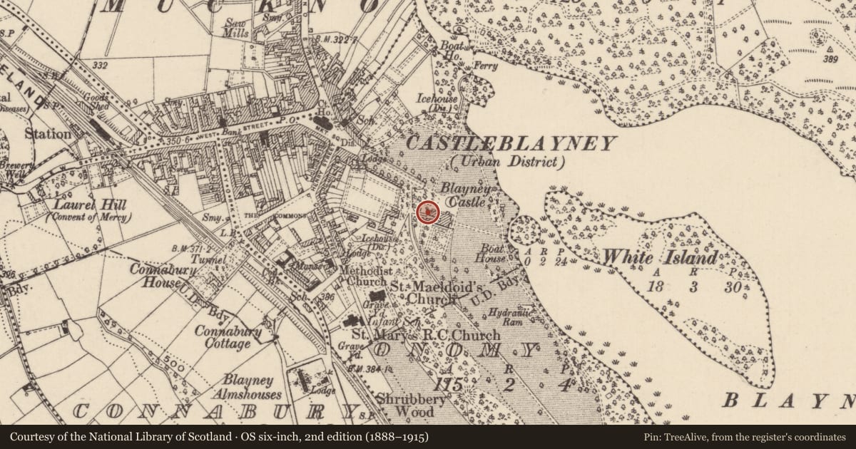 Ordnance Survey six-inch map, 2nd edition (1888–1915) covering the location of House - fortified house, Onomy, County Monaghan, with a pin at the register's coordinates