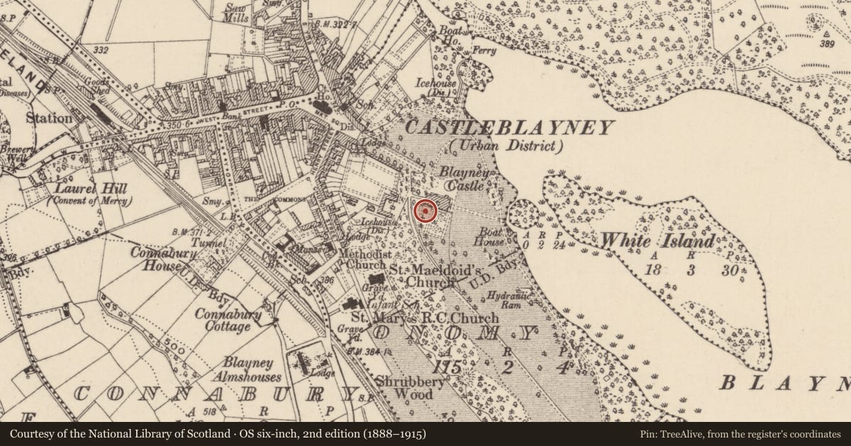 Ordnance Survey six-inch map, 2nd edition (1888–1915) covering the location of Bawn, Onomy, County Monaghan, with a pin at the register's coordinates