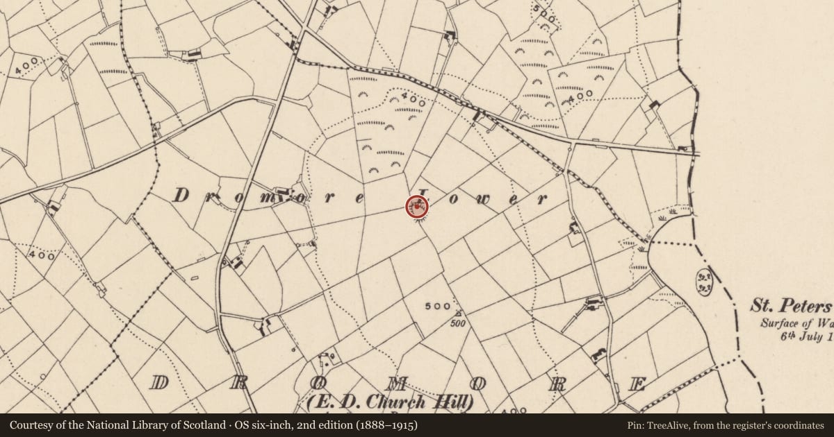 Ordnance Survey six-inch map, 2nd edition (1888–1915) covering the location of Ringfort - rath, Dromore (Cremorne By., Muckno Par.), County Monaghan, with a pin at the register's coordinates