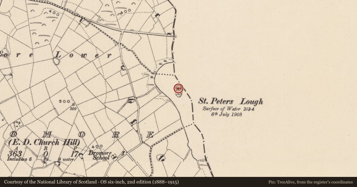 Ordnance Survey six-inch map, 2nd edition (1888–1915) covering the location of Crannog, Dromore (Cremorne By., Muckno Par.), County Monaghan, with a pin at the register's coordinates