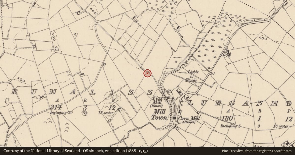 Ordnance Survey six-inch map, 2nd edition (1888–1915) covering the location of Earthwork, Drumaliss, County Monaghan, with a pin at the register's coordinates