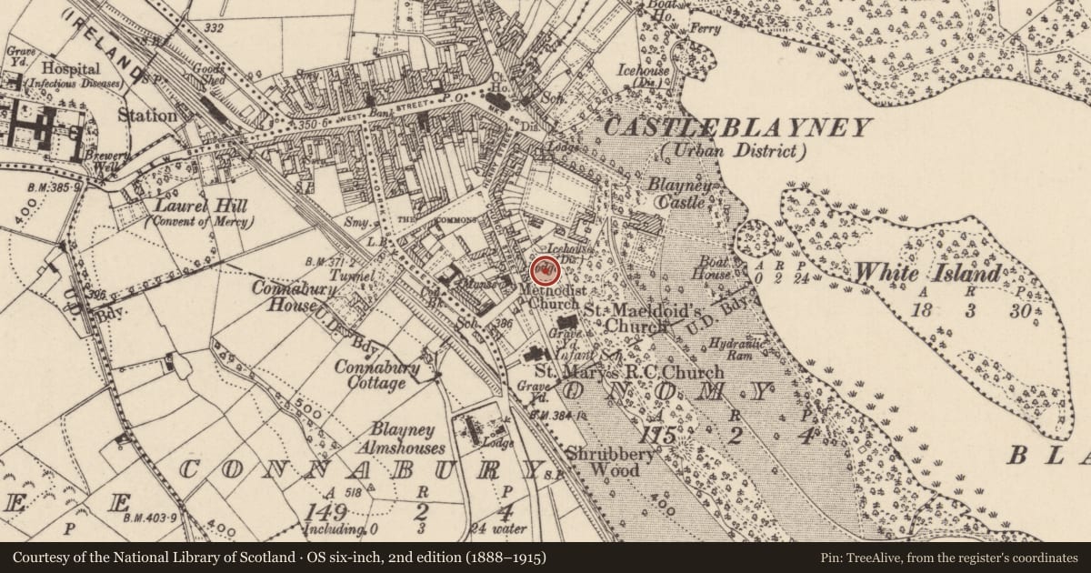 Ordnance Survey six-inch map, 2nd edition (1888–1915) covering the location of Church, Onomy, County Monaghan, with a pin at the register's coordinates