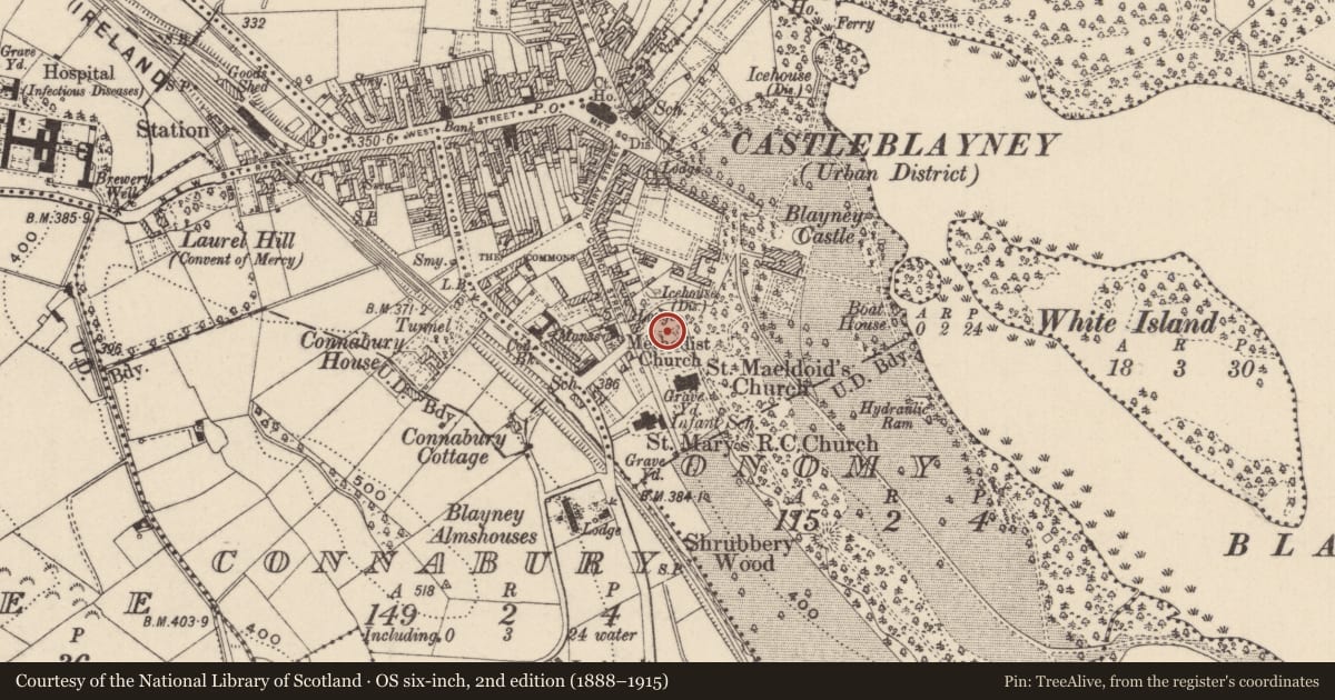 Ordnance Survey six-inch map, 2nd edition (1888–1915) covering the location of Graveyard, Onomy, County Monaghan, with a pin at the register's coordinates