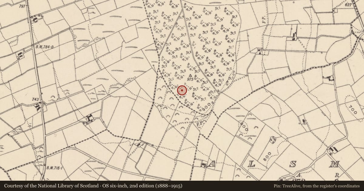 Ordnance Survey six-inch map, 2nd edition (1888–1915) covering the location of Standing stone, Tavanskeagh, County Monaghan, with a pin at the register's coordinates