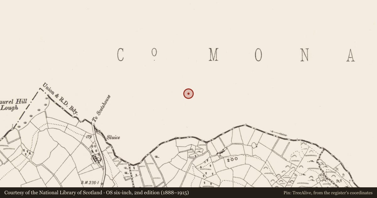Ordnance Survey six-inch map, 2nd edition (1888–1915) covering the location of Ringfort - rath, Cornapaste, County Monaghan, with a pin at the register's coordinates