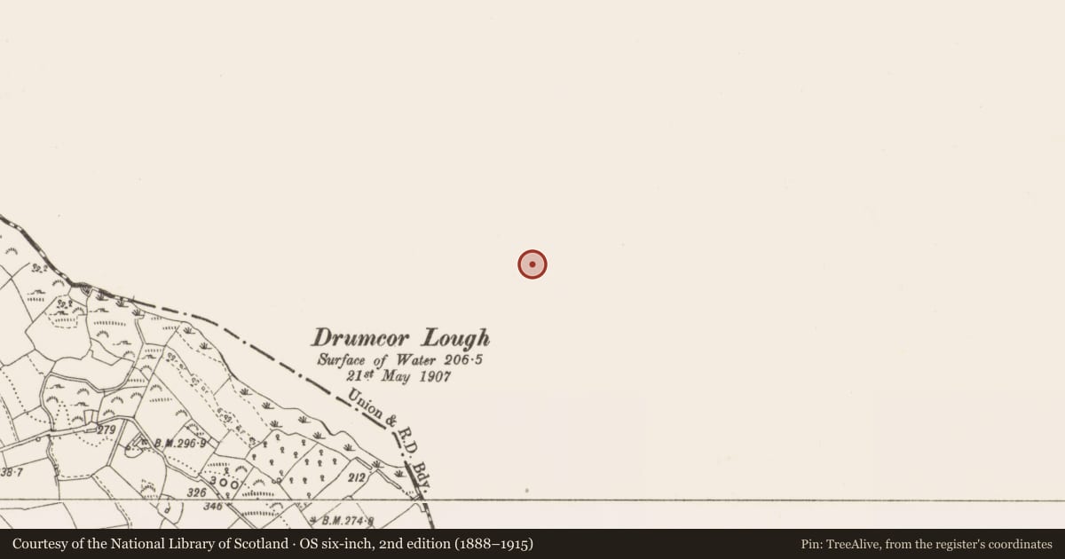 Ordnance Survey six-inch map, 2nd edition (1888–1915) covering the location of Ringfort - rath, Drumavan, County Monaghan, with a pin at the register's coordinates