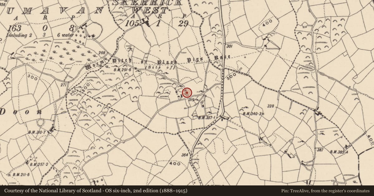 Ordnance Survey six-inch map, 2nd edition (1888–1915) covering the location of Cairn - unclassified, Skerrick West, County Monaghan, with a pin at the register's coordinates