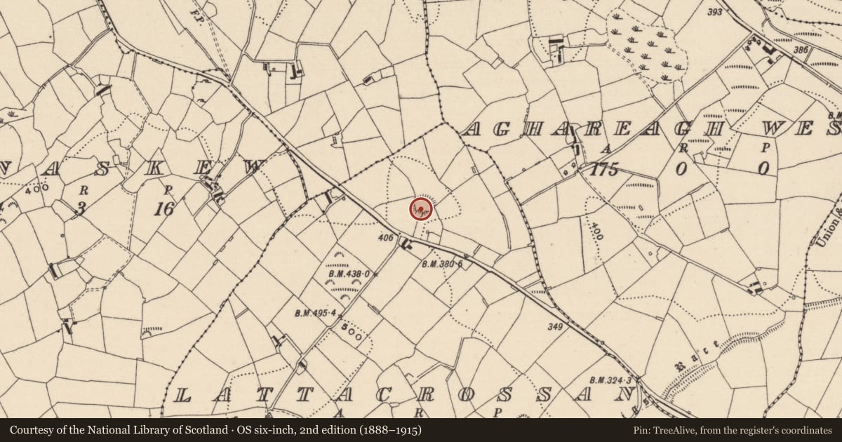 Ordnance Survey six-inch map, 2nd edition (1888–1915) covering the location of Ringfort - rath, Lattacrossan, County Monaghan, with a pin at the register's coordinates