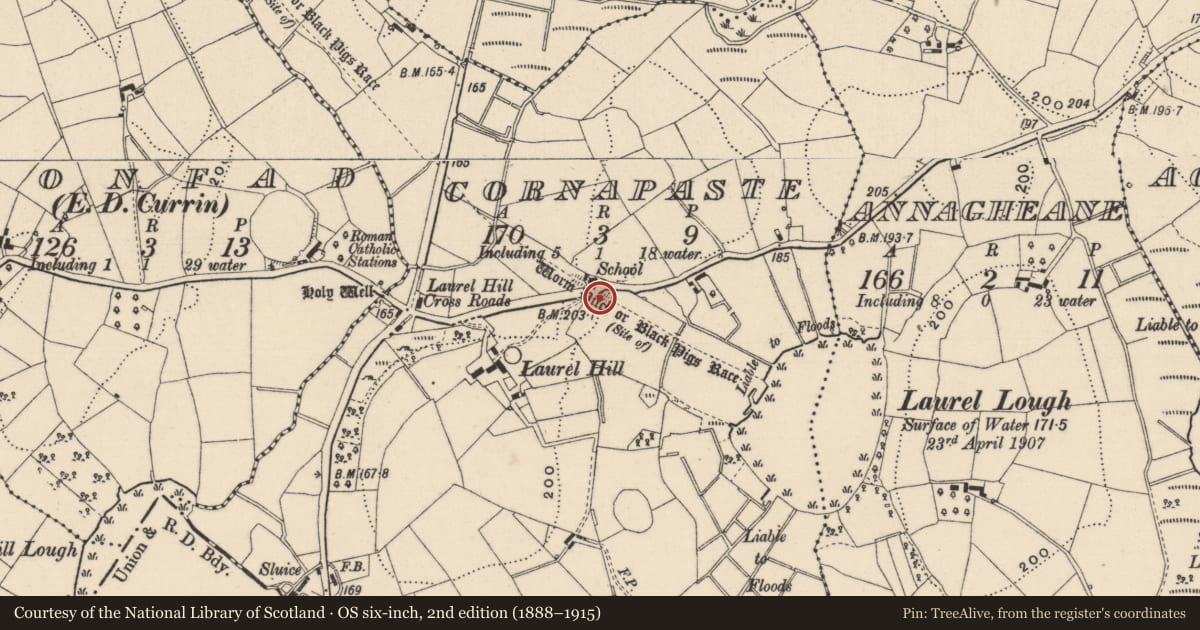 Ordnance Survey six-inch map, 2nd edition (1888–1915) covering the location of Linear earthwork, County Monaghan, with a pin at the register's coordinates