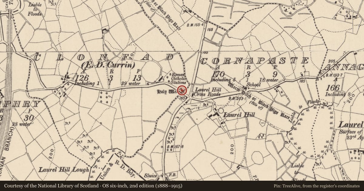 Ordnance Survey six-inch map, 2nd edition (1888–1915) covering the location of Bullaun stone, Clonfad (Dartree by, County Monaghan, with a pin at the register's coordinates