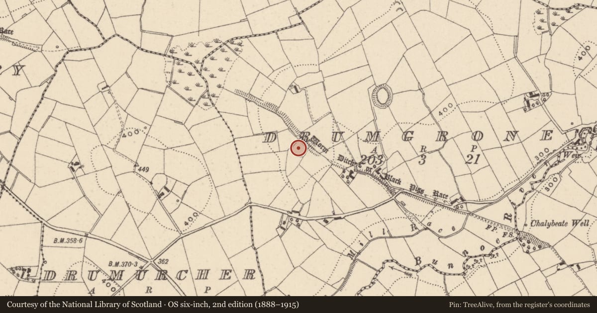 Ordnance Survey six-inch map, 2nd edition (1888–1915) covering the location of Ringfort - rath, Drumgrone, County Monaghan, with a pin at the register's coordinates