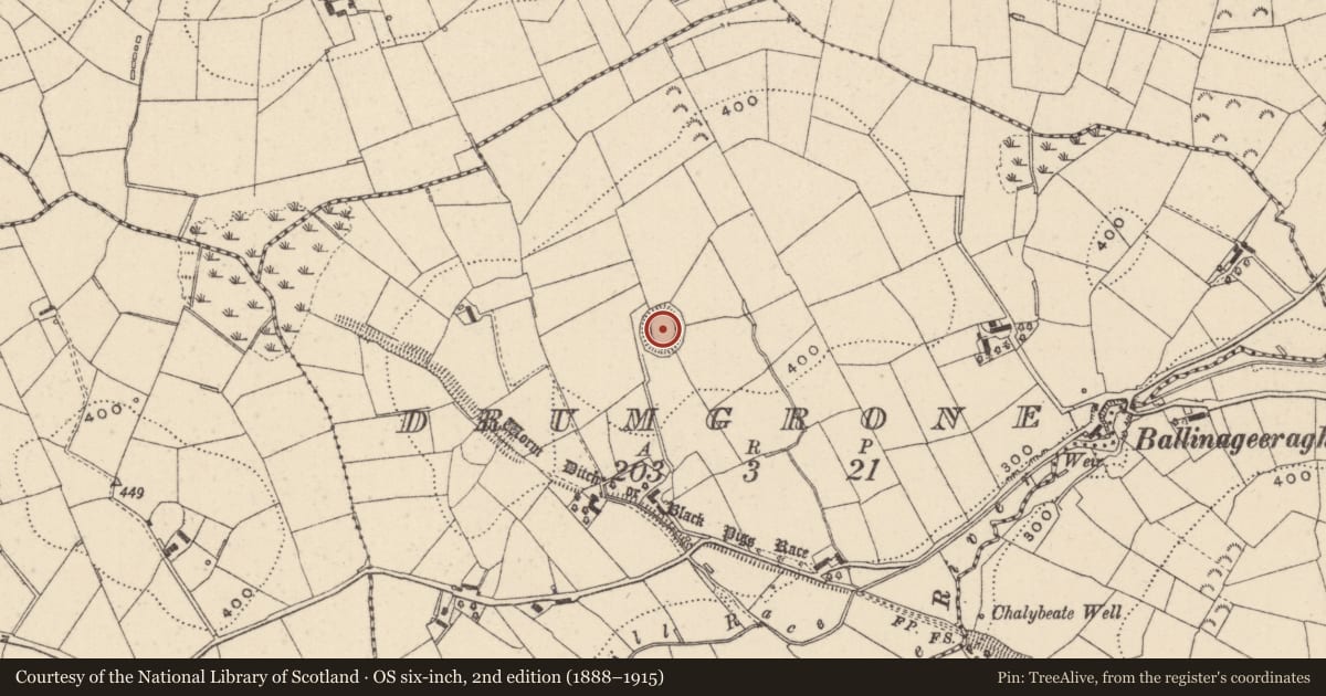 Ordnance Survey six-inch map, 2nd edition (1888–1915) covering the location of Ringfort - rath, Drumgrone, County Monaghan, with a pin at the register's coordinates