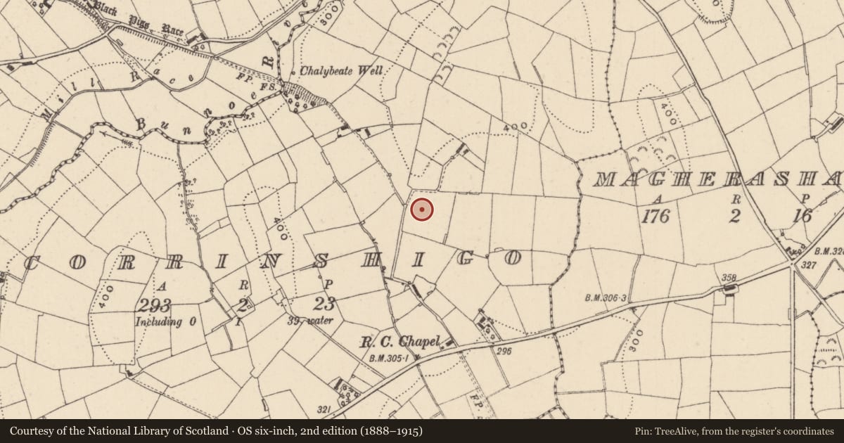 Ordnance Survey six-inch map, 2nd edition (1888–1915) covering the location of Enclosure, Corrinshigo, County Monaghan, with a pin at the register's coordinates