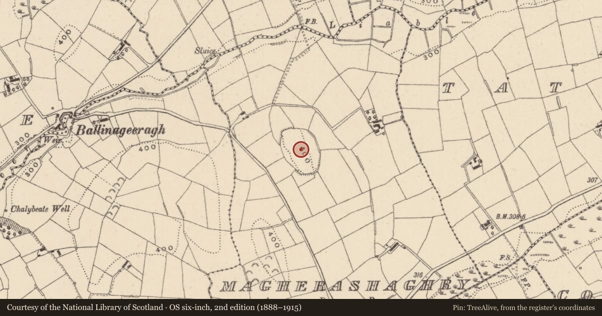 Ordnance Survey six-inch map, 2nd edition (1888–1915) covering the location of Hilltop enclosure, Magherashaghry, County Monaghan, with a pin at the register's coordinates