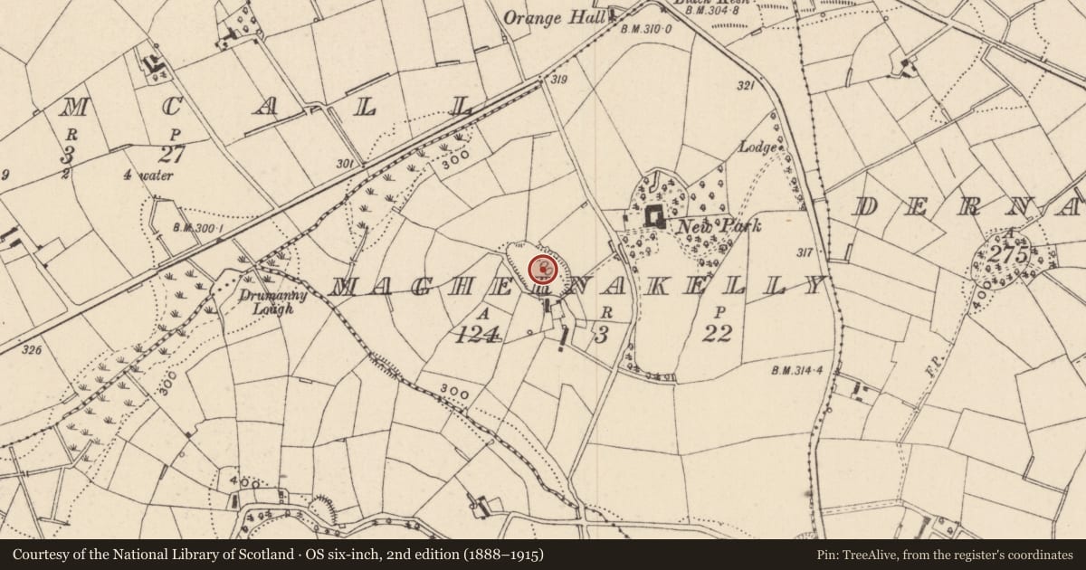 Ordnance Survey six-inch map, 2nd edition (1888–1915) covering the location of Hilltop enclosure, Maghernakelly, County Monaghan, with a pin at the register's coordinates