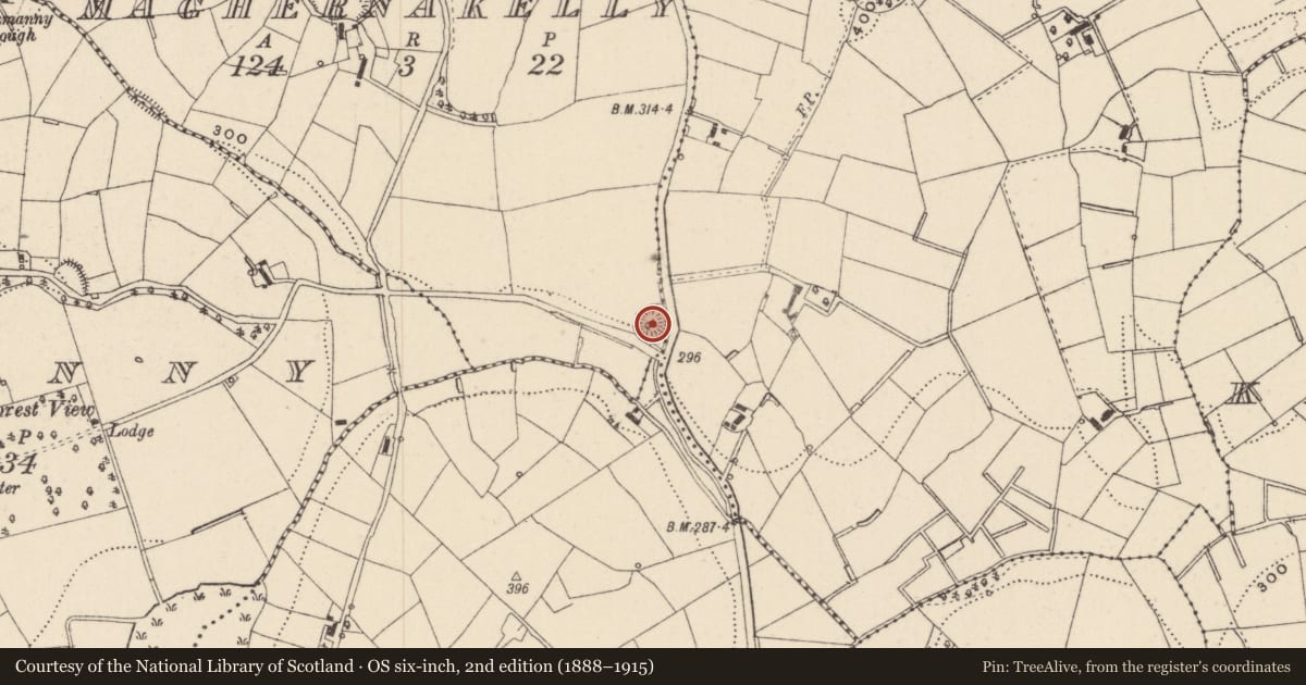 Ordnance Survey six-inch map, 2nd edition (1888–1915) covering the location of Ringfort - rath, Maghernakelly, County Monaghan, with a pin at the register's coordinates