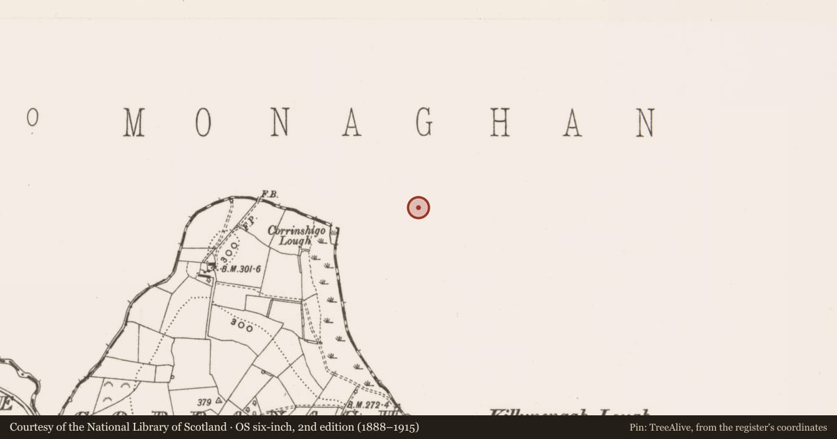 Ordnance Survey six-inch map, 2nd edition (1888–1915) covering the location of Barrow - ring-barrow, Drumavaddy, County Monaghan, with a pin at the register's coordinates