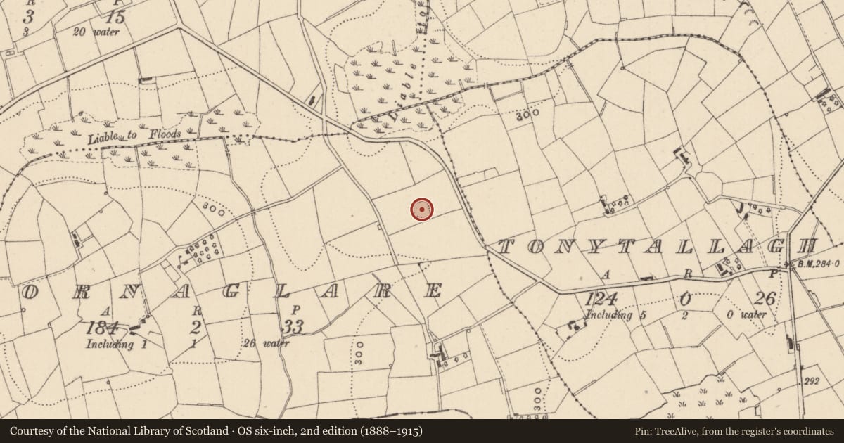 Ordnance Survey six-inch map, 2nd edition (1888–1915) covering the location of Ringfort - rath, Cornaglare, County Monaghan, with a pin at the register's coordinates