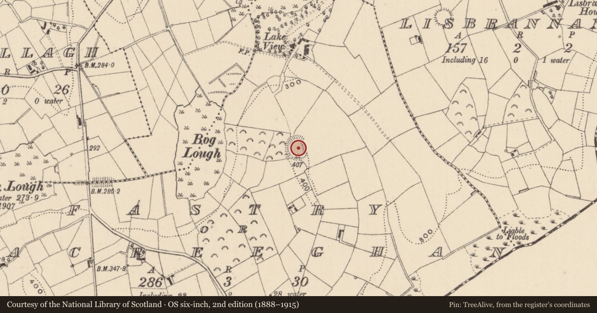 Ordnance Survey six-inch map, 2nd edition (1888–1915) covering the location of Ringfort - rath, Fastry Or Racreeghan, County Monaghan, with a pin at the register's coordinates