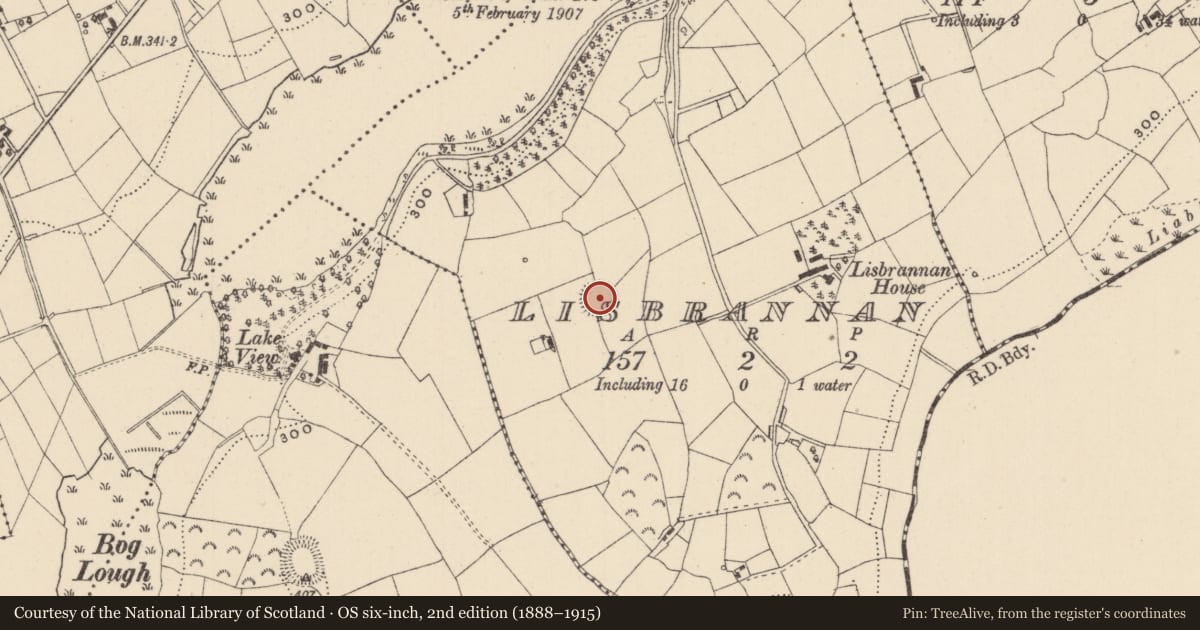 Ordnance Survey six-inch map, 2nd edition (1888–1915) covering the location of Ringfort - rath, Lisbrannan, County Monaghan, with a pin at the register's coordinates